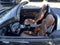 2020 Mercedes-Benz SLC SLC 300
