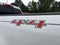 2019 Chevrolet Colorado 4WD LT